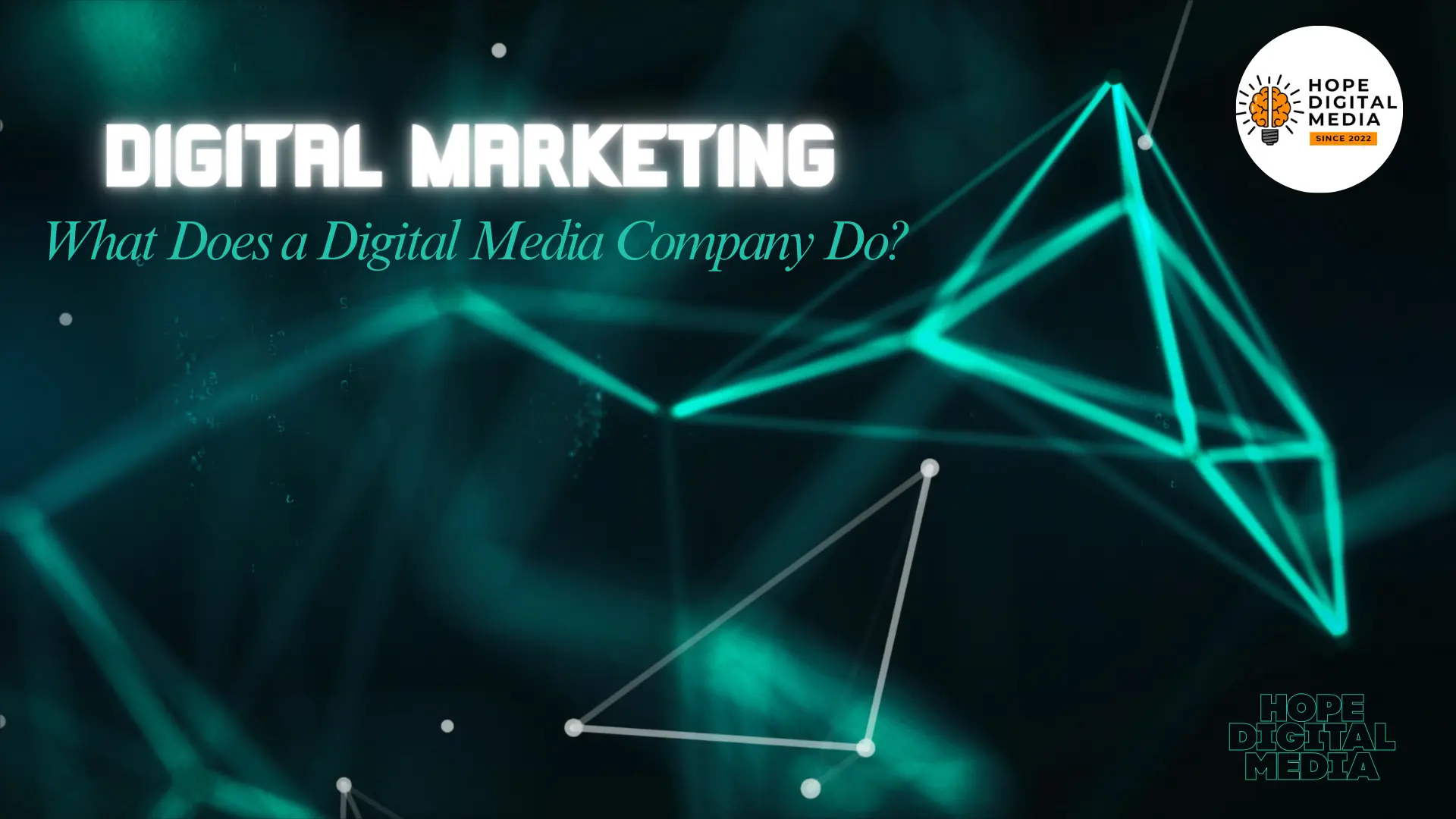 What Does a Digital Media Company Do?